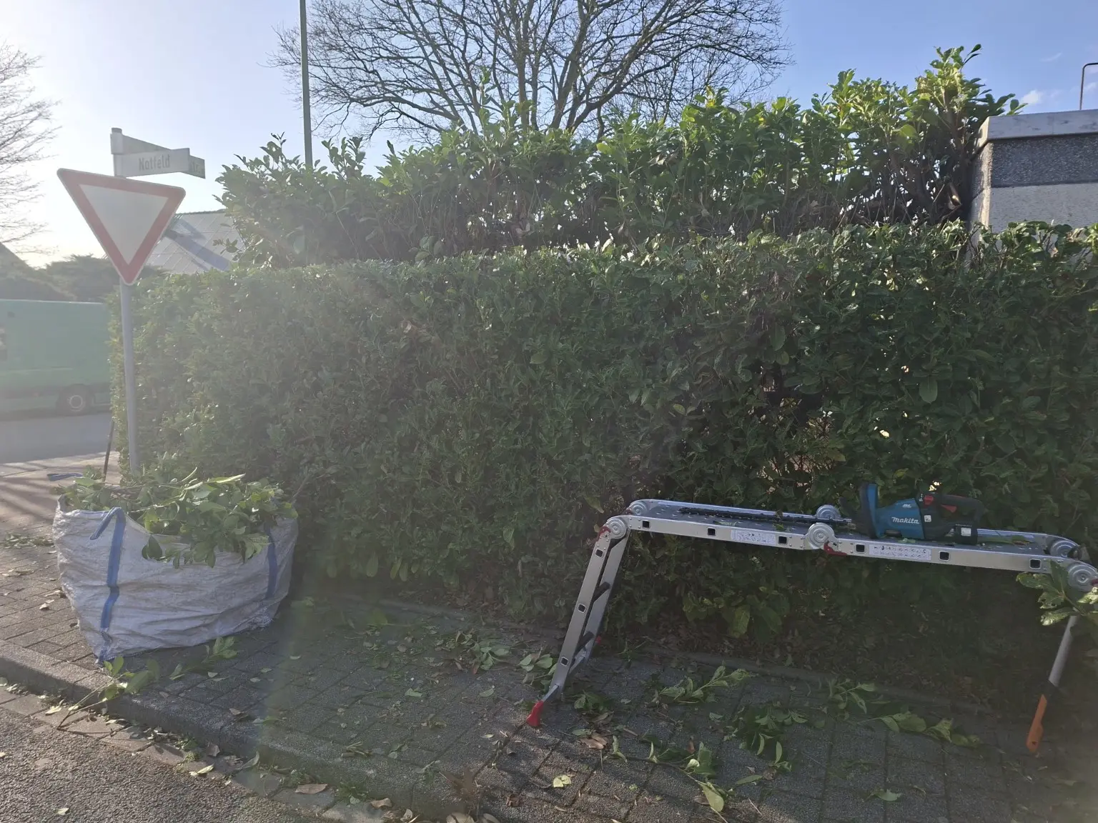 Radikalschnitt einer Kirschlorbeerhecke mit professioneller Ausrüstung