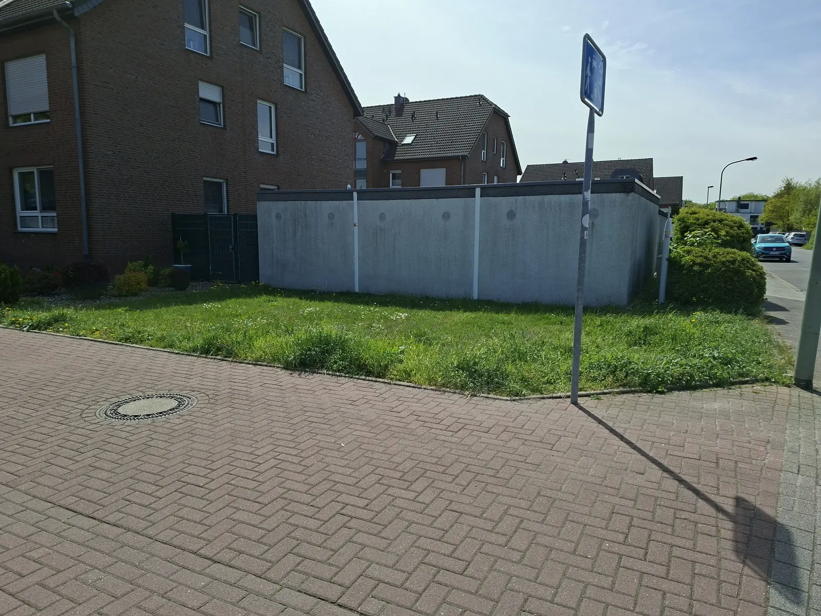 Rasenfläche vor dem Mähen und dem Kantenschnitt